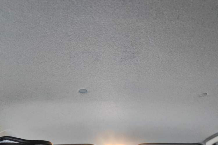 Used Toyota YARiS L Zhi Xuan 2020 X-Trail X 1.5L CVT Luxury Edition Headliner