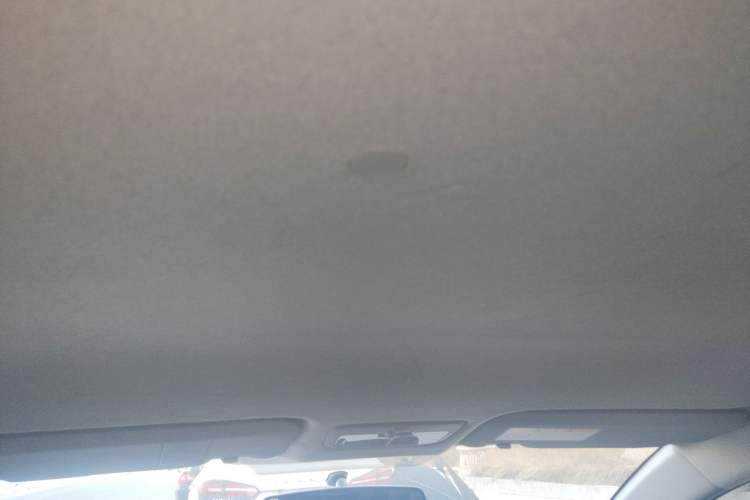 Used Toyota YARiS L Zhi Xuan 2020 X-Trail X 1.5L CVT Leading Edition Headliner