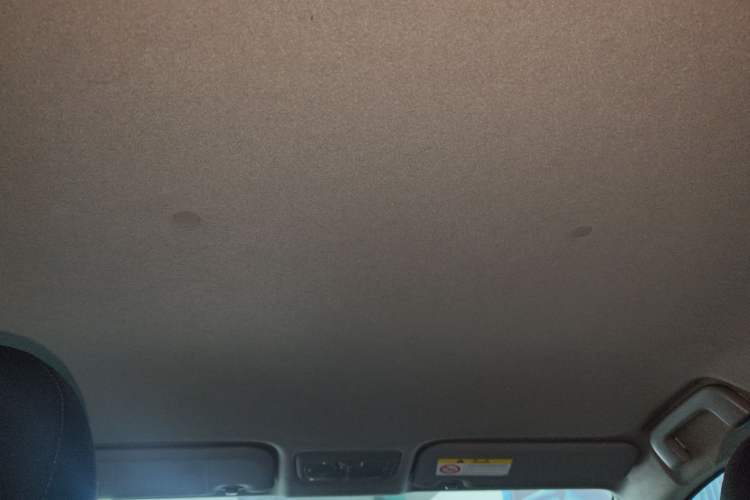 Used Toyota YARiS L Zhi Xuan 2020 X-Trail X 1.5L CVT Leading Edition Headliner
