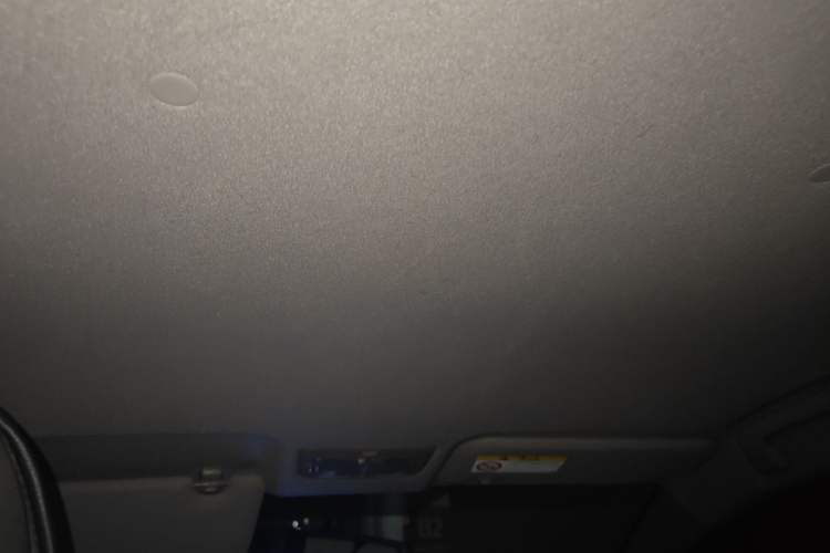 Used Toyota YARiS L Zhi Xuan 2020 X-Trail X 1.5L CVT Leading Edition Headliner