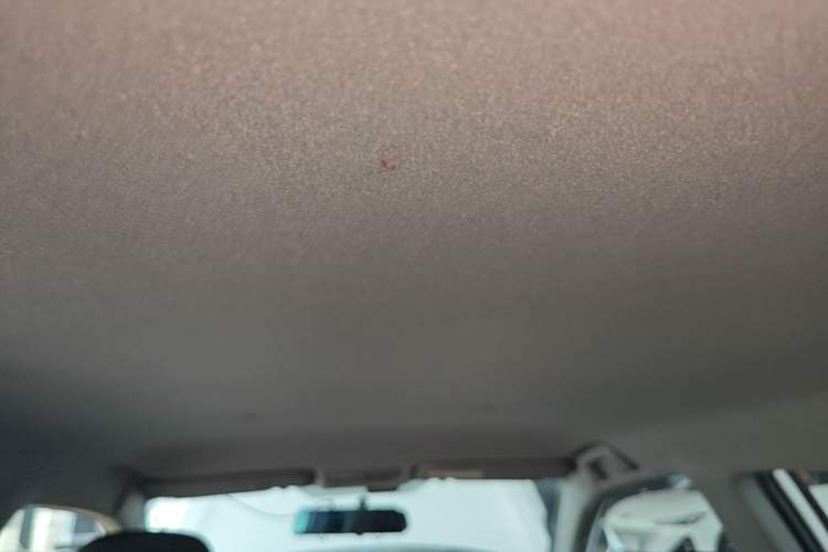 Used Toyota YARiS L Zhi Xuan 2020 1.5L CVT Leading Edition Headliner