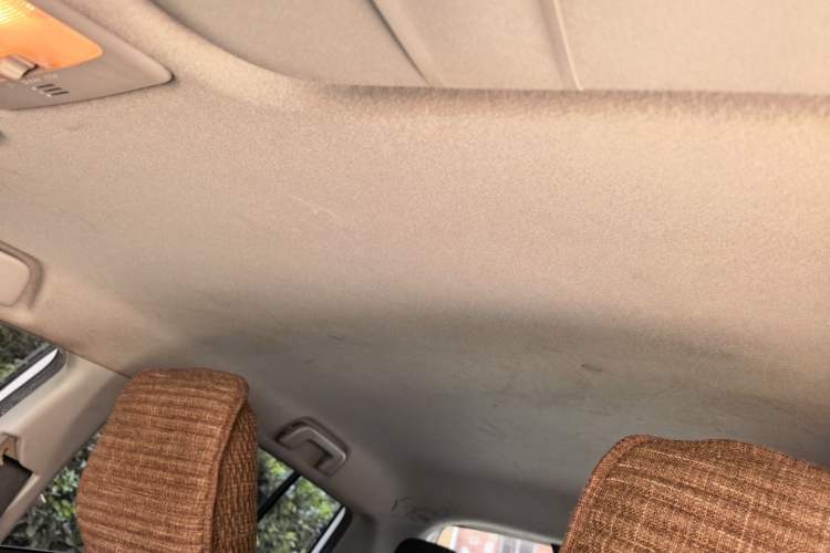Used Toyota YARiS L Zhi Xuan 2020 X-Trail X 1.5L CVT Leading Edition Headliner