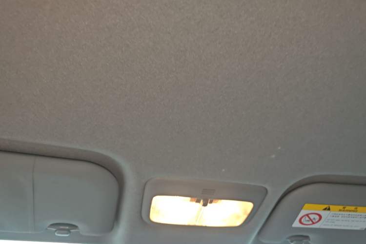 Used Toyota YARiS L Zhi Xuan 2020 X-Trail X 1.5L CVT Luxury Edition Headliner
