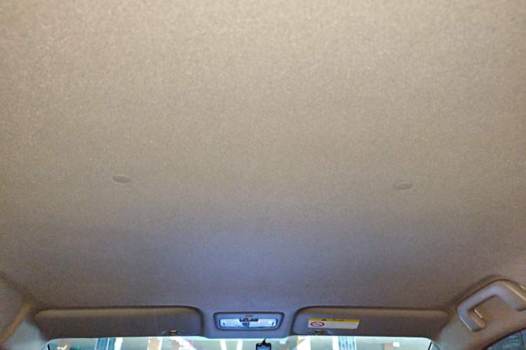Used Toyota YARiS L Zhi Xuan 2020 X-Trail X 1.5L CVT Leading Edition Headliner