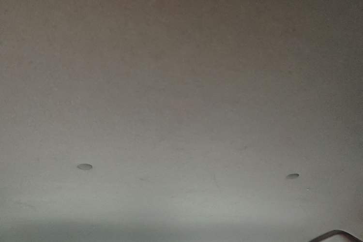 Used Toyota YARiS L Zhi Xuan 2020 X-Trail X 1.5L CVT Leading Edition Headliner