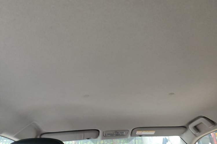 Used Toyota YARiS L Zhi Xuan 2020 X-Trail X 1.5L CVT Luxury Edition Headliner