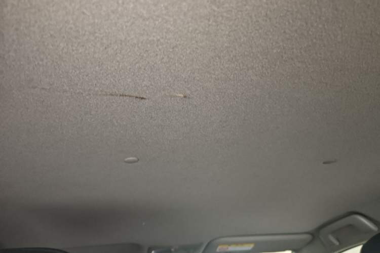 Used Toyota YARiS L Zhi Xuan 2020 1.5L CVT Leading Edition Headliner