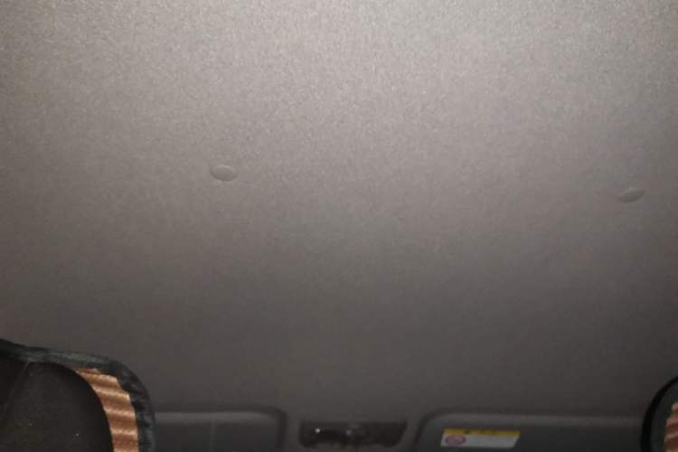 Used Toyota YARiS L Zhi Xuan 2020 1.5L CVT Leading Edition Headliner