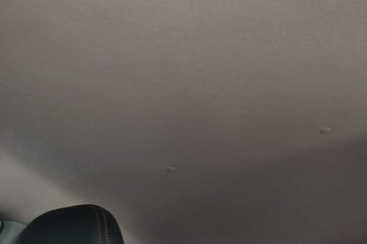 Used Toyota YARiS L Zhi Xuan 2020 1.5L CVT Leading Edition Headliner