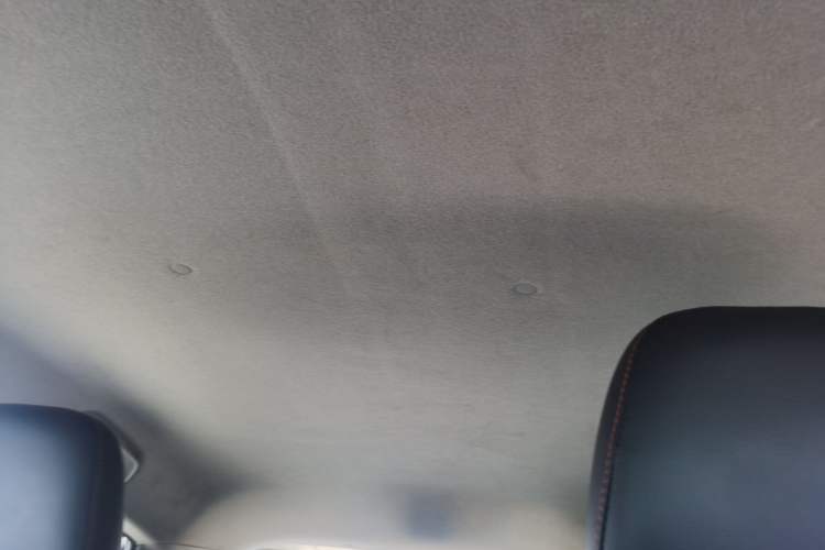 Used Toyota YARiS L Zhi Xuan 2020 X-Trail X 1.5L CVT Luxury Edition Headliner