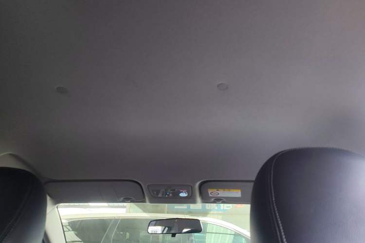 Used Toyota YARiS L Zhi Xuan 2020 X-Trail X 1.5L CVT Leading Edition Headliner
