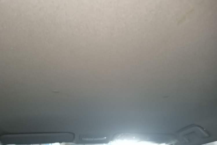 Used Toyota YARiS L Zhi Xuan 2020 X-Trail X 1.5L CVT Leading Edition Headliner
