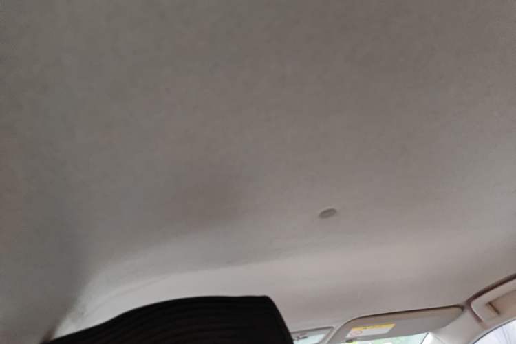 Used Toyota YARiS L Zhi Xuan 2020 X-Trail X 1.5L CVT Leading Edition Headliner