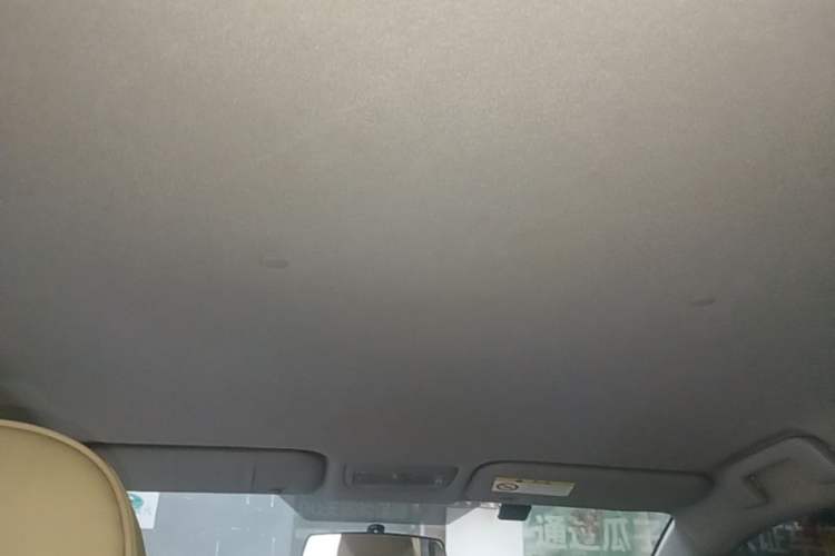 Used Toyota YARiS L Zhi Xuan 2020 X-Trail X 1.5L CVT Leading Edition Headliner