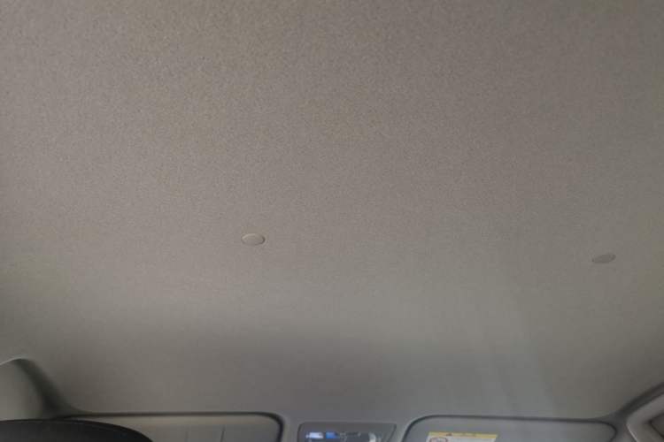 Used Toyota YARiS L Zhi Xuan 2020 X-Trail X 1.5L CVT Leading Edition Headliner