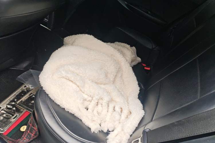Used Toyota YARiS L Zhi Xuan 2020 1.5L CVT Leading Edition Left Rear Seat