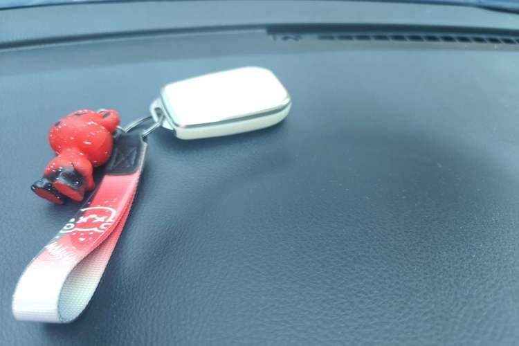 Used Toyota YARiS L Zhi Xuan 2020 X-Trail X 1.5L CVT Leading Edition Vehicle Key