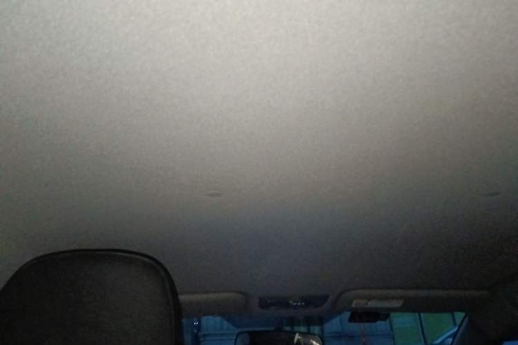 Used Toyota YARiS L Zhi Xuan 2021 X-Trail 1.5L CVT Leading Edition Headliner