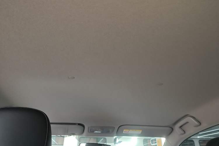 Used Toyota YARiS L Zhi Xuan 2021 X-Trail 1.5L CVT Luxury Edition Headliner