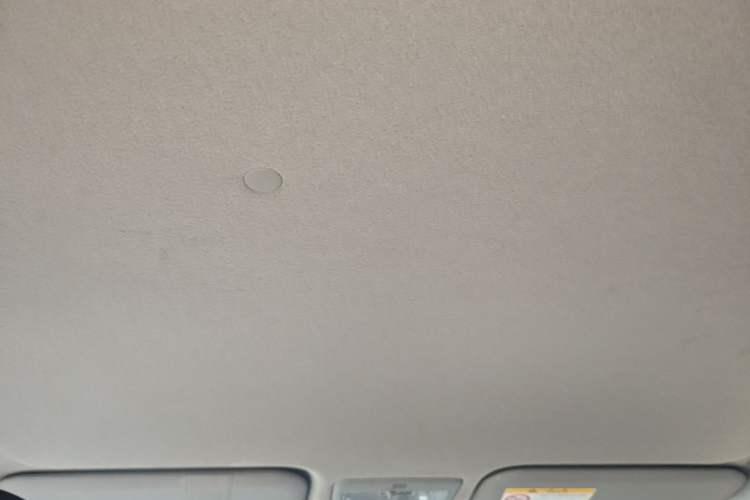 Used Toyota YARiS L Zhi Xuan 2021 X-Trail 1.5L CVT Leading Edition Headliner