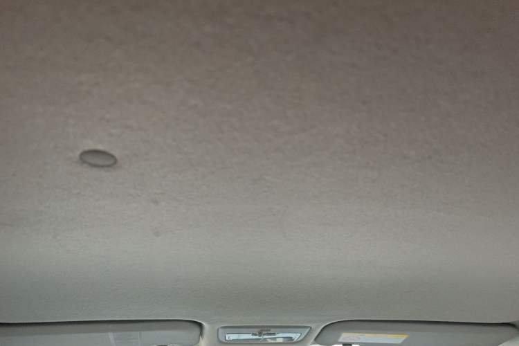 Used Toyota YARiS L Zhi Xuan 2021 X-Trail 1.5L CVT Leading Edition Headliner