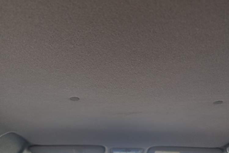 Used Toyota YARiS L Zhi Xuan 2021 X-Trail 1.5L CVT Leading Edition Headliner