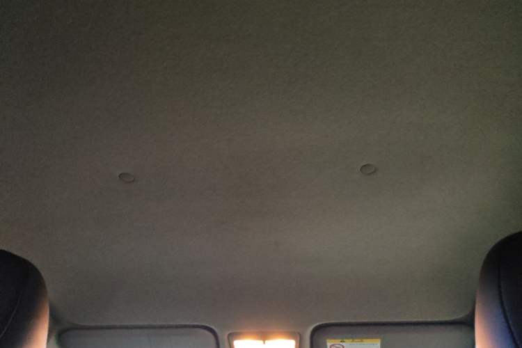 Used Toyota YARiS L Zhi Xuan 2021 X-Trail 1.5L CVT Luxury Edition Headliner