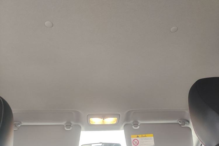 Used Toyota YARiS L Zhi Xuan 2021 X-Trail 1.5L CVT Luxury Edition Headliner
