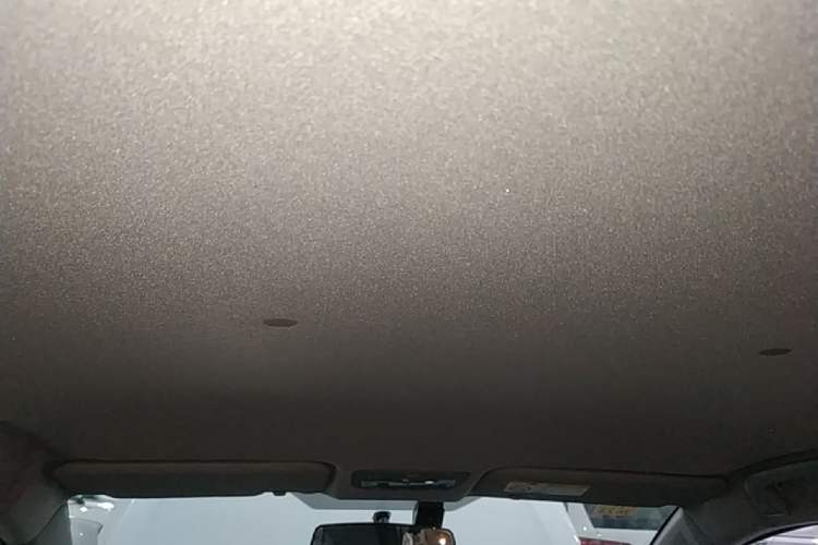 Used Toyota YARiS L Zhi Xuan 2021 X-Trail 1.5L CVT Luxury Edition Headliner