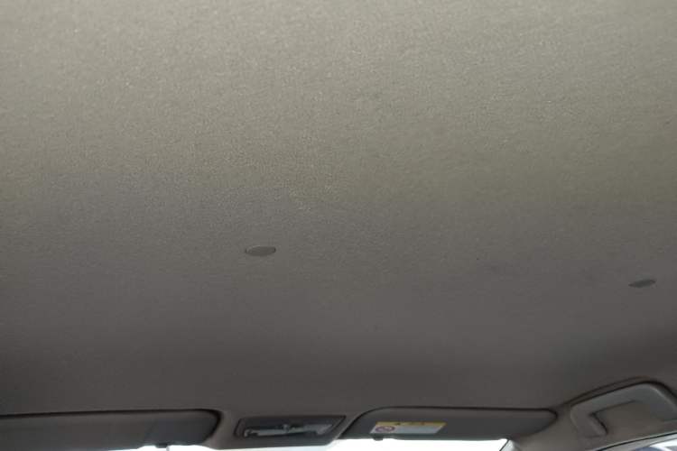 Used Toyota YARiS L Zhi Xuan 2021 X-Trail 1.5L CVT Leading Edition Headliner