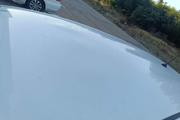 Used Toyota YARiS L Zhi Xuan 2021 1.5L CVT Leading Edition Roof