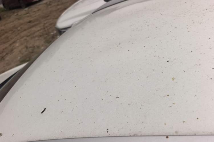 Used Toyota YARiS L Zhi Xuan 2021 X-Trail 1.5L CVT Leading Edition Roof