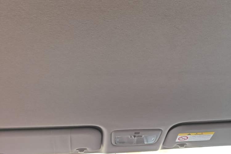 Used Toyota YARiS L Zhi Xuan 2022 1.5L CVT Leading PLUS Edition Headliner