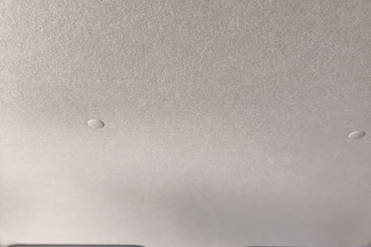 Used Toyota YARiS L Zhi Xuan 2022 X-Trail 1.5L CVT Leading PLUS Edition Headliner