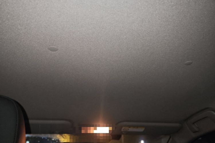 Used Toyota YARiS L Zhi Xuan 2022 X-Trail 1.5L CVT Luxury PLUS Edition Headliner