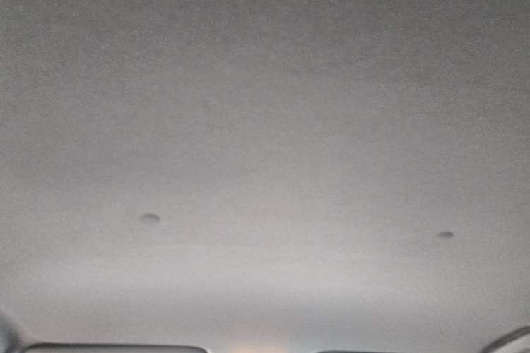 Used Toyota YARiS L Zhi Xuan 2022 X-Trail 1.5L CVT Leading PLUS Edition Headliner