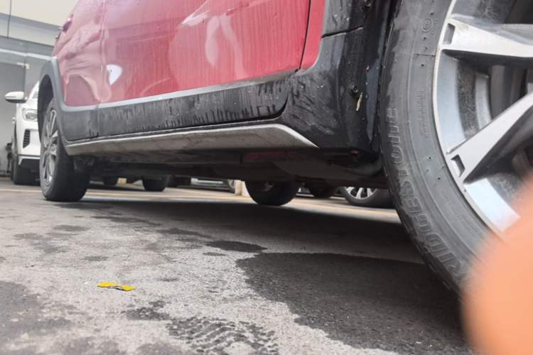 Used Toyota YARiS L Zhi Xuan 2022 X-Trail 1.5L CVT Luxury PLUS Edition Right Side Sill
