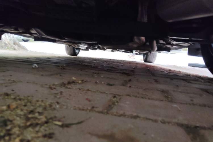 Used Toyota YARiS L Zhi Xuan 2022 X-Trail 1.5L CVT Luxury PLUS Edition Chassis Rear