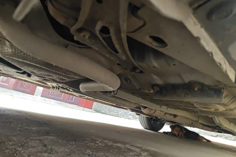 Used Toyota YARiS L Zhi Xuan 2022 X-Trail 1.5L CVT Leading PLUS Edition Chassis Rear Right