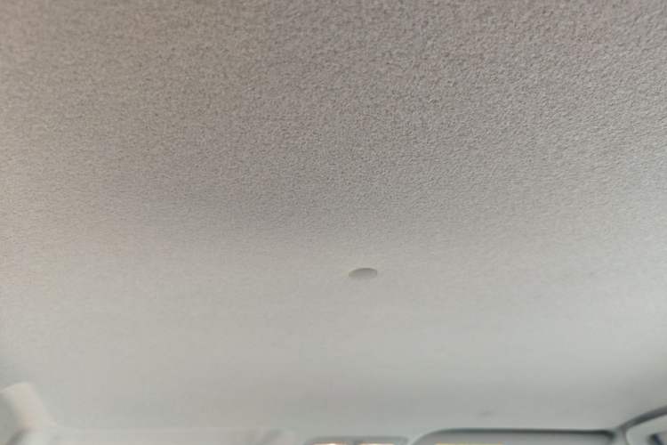 Used Toyota YARiS L Zhi Xuan 2022 X-Trail 1.5L CVT Leading PLUS Edition Headliner