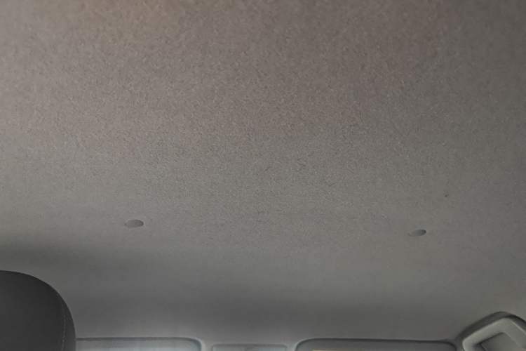 Used Toyota YARiS L Zhi Xuan 2022 X-Trail 1.5L CVT Leading PLUS Edition Headliner