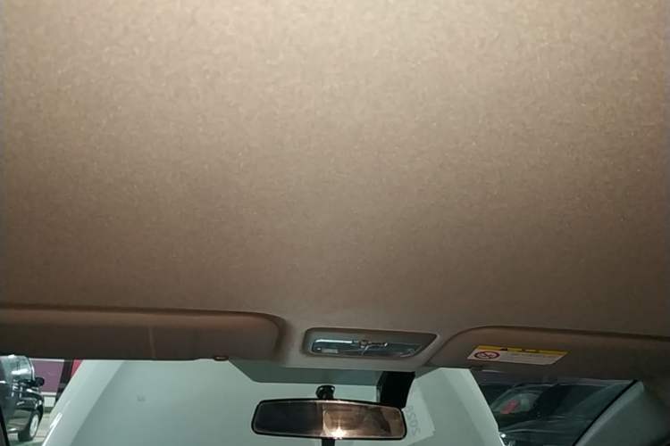 Used Toyota YARiS L Zhi Xuan 2022 X-Trail 1.5L CVT Luxury PLUS Edition Headliner