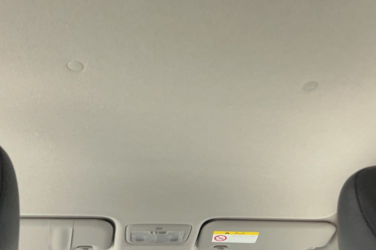 Used Toyota YARiS L Zhi Xuan 2022 X-Trail 1.5L CVT Luxury PLUS Edition Headliner