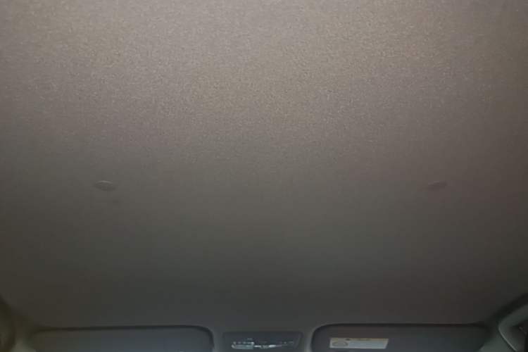 Used Toyota YARiS L Zhi Xuan 2022 X-Trail 1.5L CVT Leading PLUS Edition Headliner