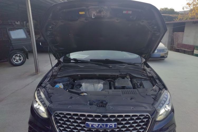 Used TRAUM MEET 3 2018 1.5T CVT Luxury Model Engine Bay