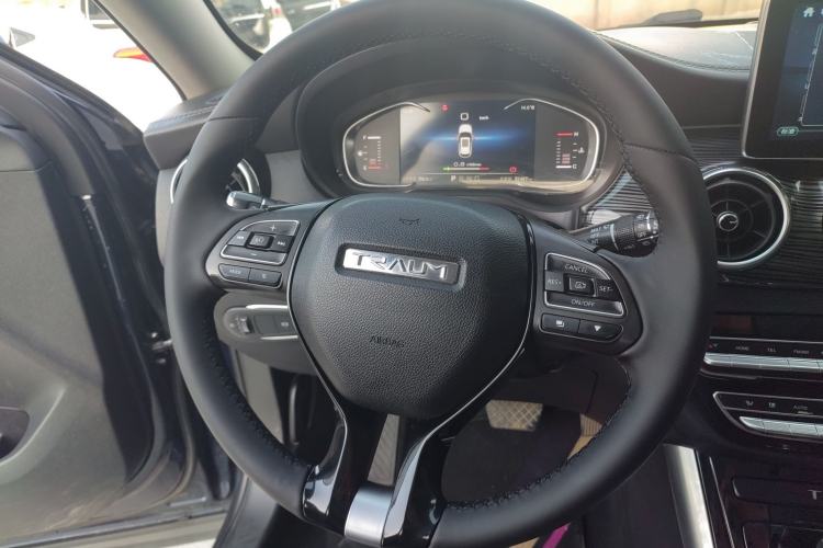 Used TRAUM MEET 3 2018 1.5T CVT Luxury Model Steering Wheel