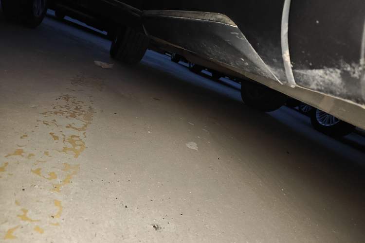 Used TRAUM MEET 3 2018 1.5T CVT Luxury Model Right Side Sill