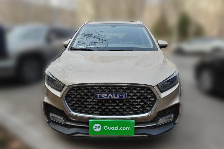 Used TRAUM S70 2018 1.5T Manual Standard Model 7 Seats Front