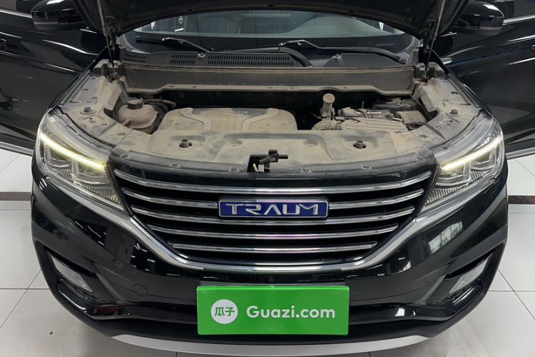 Used TRAUM SEEK 5 2018 1.5T Manual LingShang Edition Engine Bay