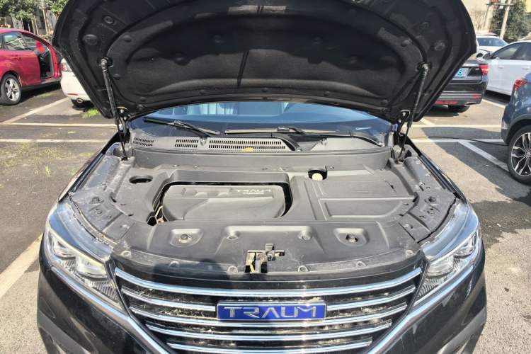 Used TRAUM SEEK 5 2018 1.5T Automatic LingShang Edition Engine Bay